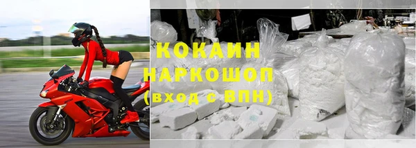 индика Алзамай