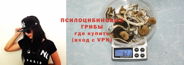 МДПВ Абинск