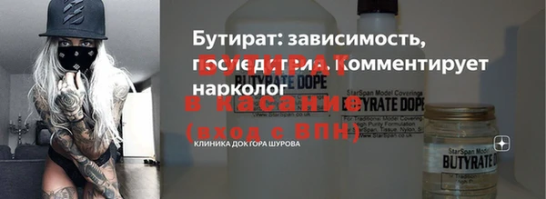 индика Алзамай