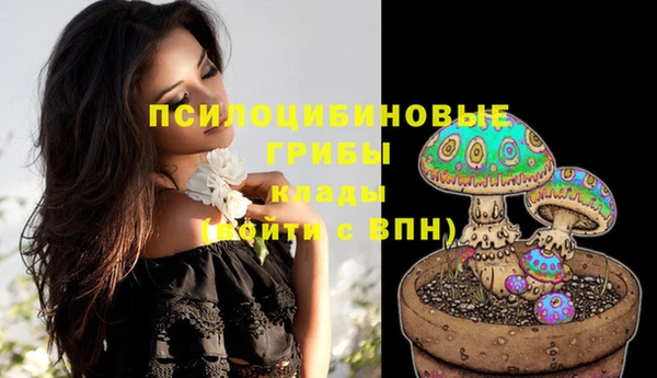 кокаин колумбия Абаза