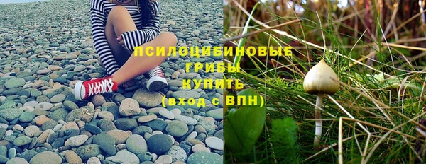 индика Алзамай
