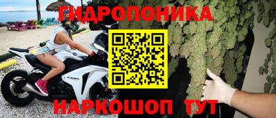 индика Донецк