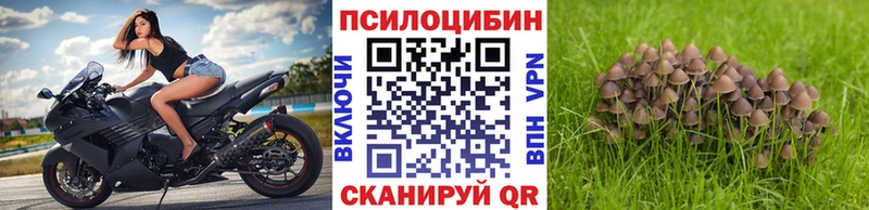 Псилоцибиновые грибы мицелий  где купить   Комсомольск-на-Амуре 