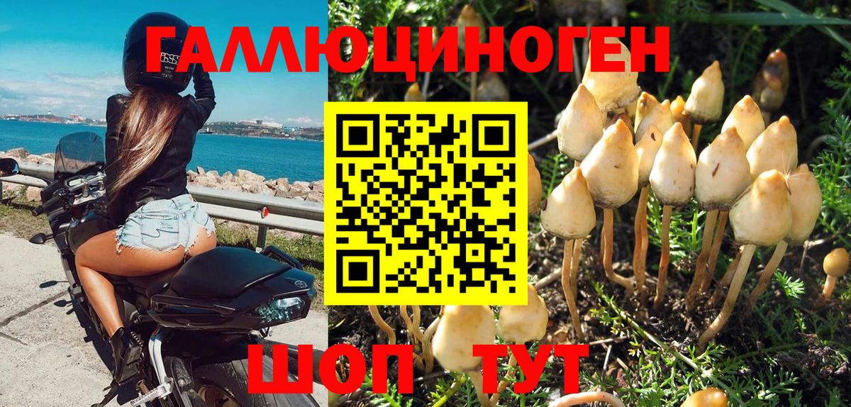 Галлюциногенные грибы Psilocybe  Галлюциногенные грибы ЛСД  Вход с VPN  Комсомольск-на-Амуре 